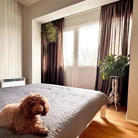 Apartment Teras *